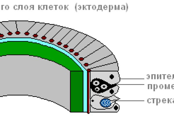 Кракен дарк сайт