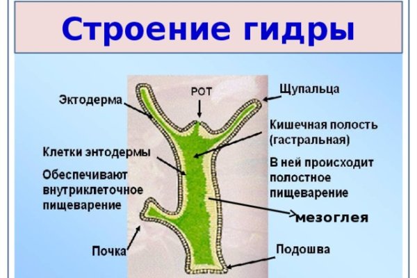 Кракен безопасный вход