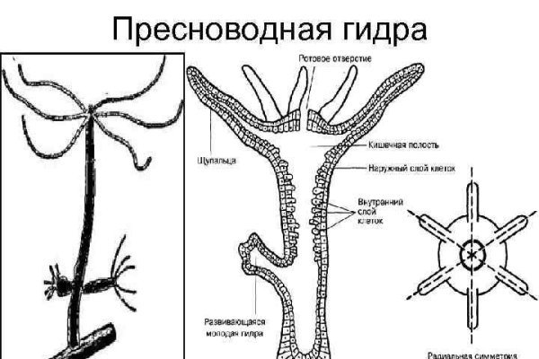 Кракен тор krakendark krakendark link