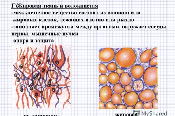 Сайт кракен войти