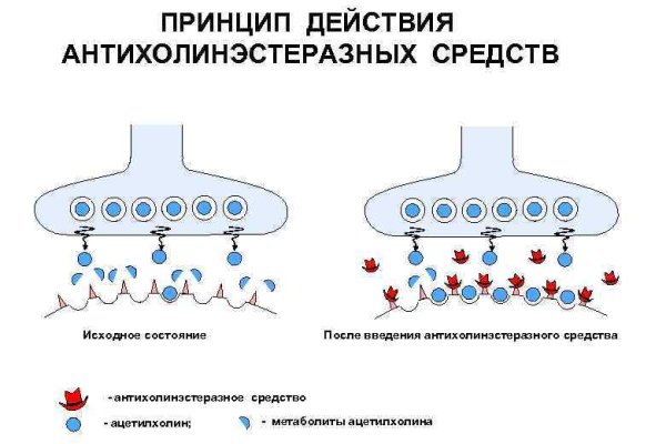 Зеркало на кракен